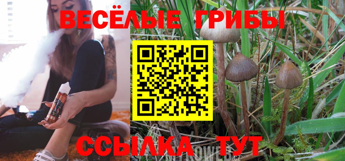 Галлюциногенные грибы MAGIC MUSHROOMS Нижний Тагил