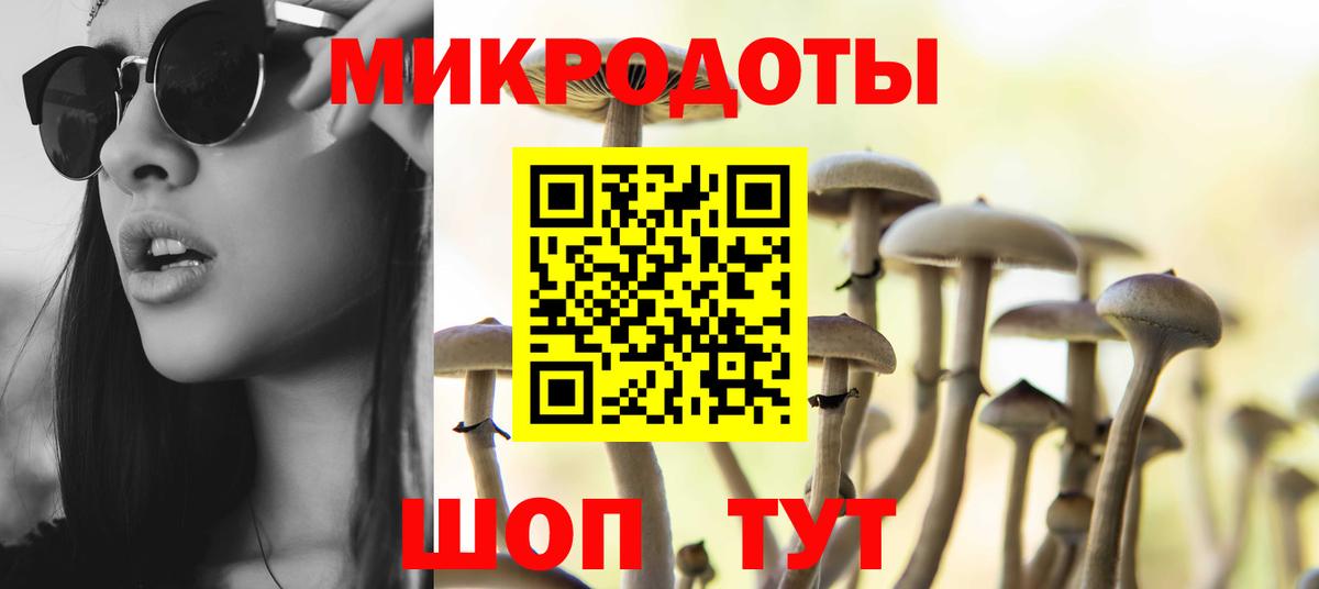 Нижний Тагил  Галлюциногенные грибы мицелий  Вход с VPN  Псилоцибиновые грибы Psilocybine cubensis 